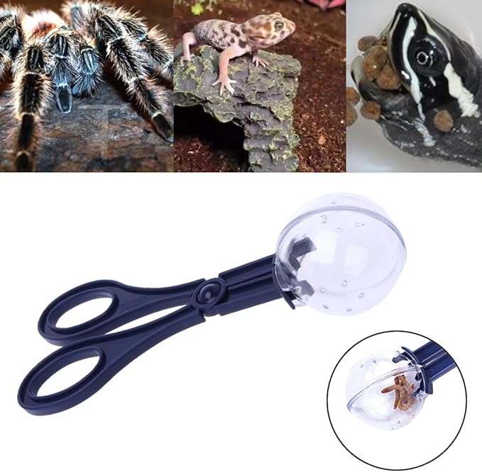 Reptile Feeding and Cleaning Tool, Amphibian Terrarium Spider Cricket Feeding Clamp Litter Clamp