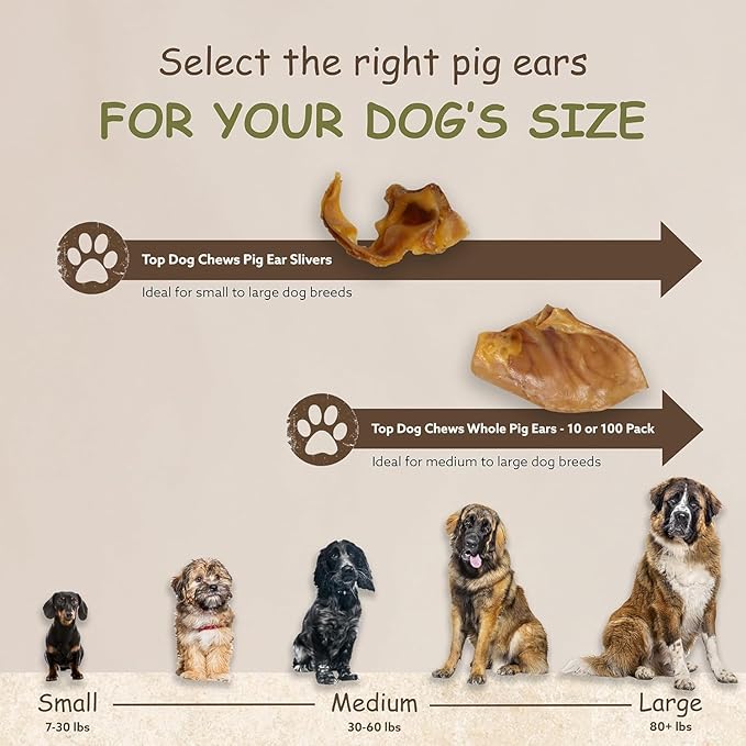 Top Dog Chews – Pig Ears for Dogs, 15 Pack, Single Ingredient, Long Lasting, Thick, Large Dog Treat for Small, Medium or Large Breeds