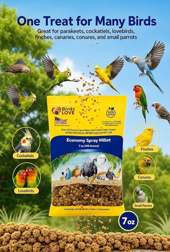 Birds LOVE Economy Special Spray Millet GMO-Free (No Stems Only Edible Tops) for Birds Cockatiel Lovebird Parakeet Finch Canary All Parrots Healthy Treat - 7oz