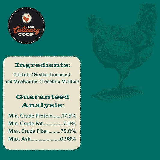 Fluker's Culinary Coop Canned Mealworms and Crickets Chicken Treat, All Natural and Packed with Protein, 2.75 oz