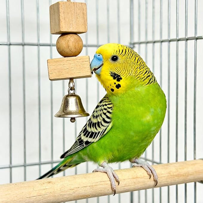 2PCS Natural Wooden Parrot Perch Stand, Wood Bird Perches for Cage with Different Widths Bird Cage Toys Accessories Hanging Multi-Branch Platform for Macaws Parakeets Conures Budgies Finches