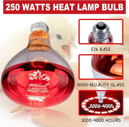 3 Pack 250W Heat Lamp Bulbs for Chicks, R40 Brooder Heat Lamp for Chickens, Infrared Reflector Heat Bulbs for Brooder Heater, Incandescent Heating Bulb for Pet, Bathroom, Food