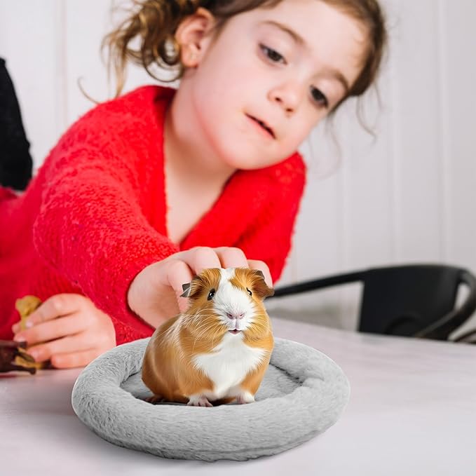 FEBSNOW Guinea Pig Beds, Hamster Bed Hedgehog Bed for Hamster Hedgehog Squirrel Tortoise Lizard and Other Small Animal