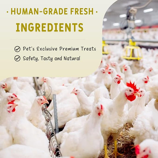 100g (3.53oz) Freeze Dried Chicken Necks for Dogs & Cats - Single Ingredient Raw Treats, High Protein Natural Chews for Bone & Dental Health, Grain-Free Training Snacks