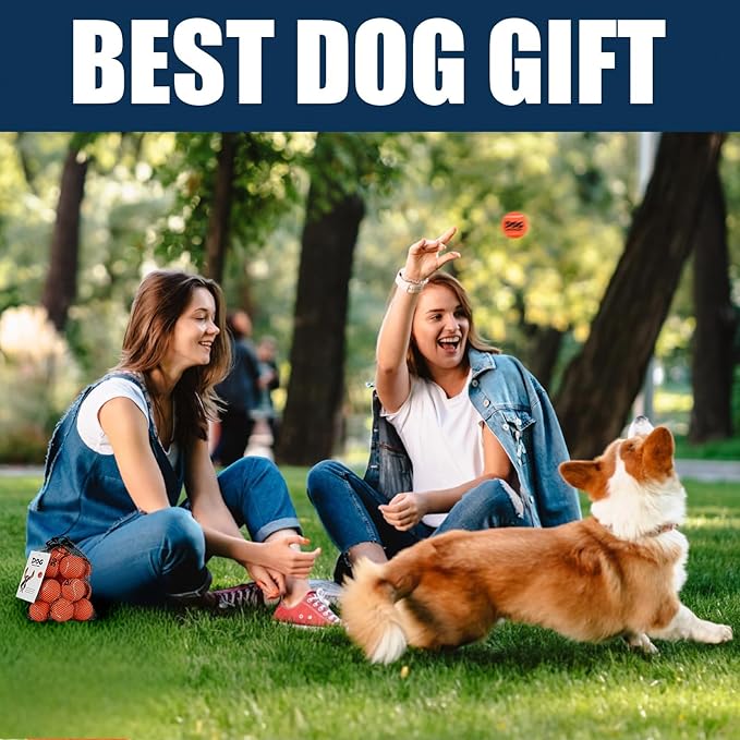 AMA SPORT Small Tennis Balls for Dogs 12 Pack 2.0" Orange Dog Tennis Balls for Puppy Small Dog Toys, Designed for Dogs Floating, Water-Hunting, Fetch, Fun Playing, Daily Exercise, Mid-air Catching
