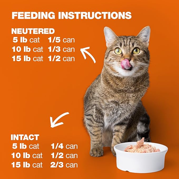 Natural Code - 24 Pack Wet Cat Food, Limited Ingredient Cat Food, High-Protein, Non-GMO, No Artificial Additives, Made in Italy, Chicken & Shrimp in Broth for Adult Cats, 3 oz