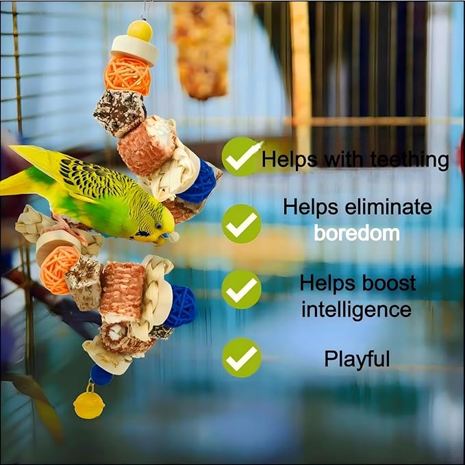 Parakeet Swing Toys,Bird Cage Hanging Chewing Toys,Natural Bird Parrot Foraging Toys for Budgerigar Conure Cockatiel Lovebirds Finches