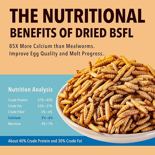 WormsFarm 11LB Dried Black Soldier Fly Larvae,Chicken Feed More Calcium Than Mealworms for Chickens,Laying Hens,Blue Birds