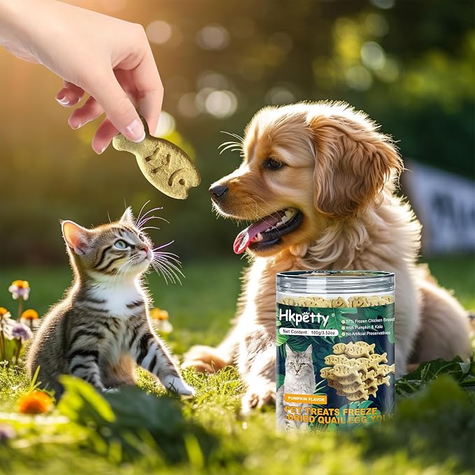 Dehydrated Cat and Dog Food Quail Egg Yolk & Pumpkin Flavor Grain Free High Protein 57% Frozen Chicken Breast, Healthy Tasty Snacks for Cats Dogs Training,Wholesome and Delicious Dog Food for Pets