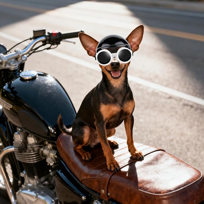 Extra Small Dog Goggles and XSmall Dog Helmet, 2Pcs Anti-UV Doggy Sunglasses Cat Motorcycle Protecetive Helmet Set, Chihuahua Safety Hard Hat Outdoor Head & Eyes Protection, White XS