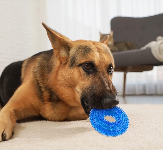 Andiker Squeaky Dog Toy, Safe TPR Chewable Dog Toys for Teeth Grinding&Cleaning Dog Fetch Toys for Enhancing Interactivity Outdoor Suitable for All Dog Sizes Puppy’s Gifts and Dog Lovers (Large)