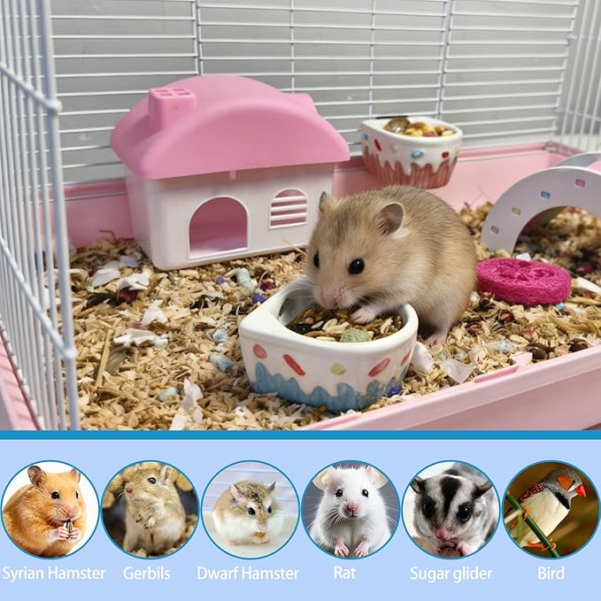 2 PCS Ceramic Hamster Food Bowl Hamster Food Water Dish Feeder Cage Accessories for Mice Rats Hedgehog Gerbil
