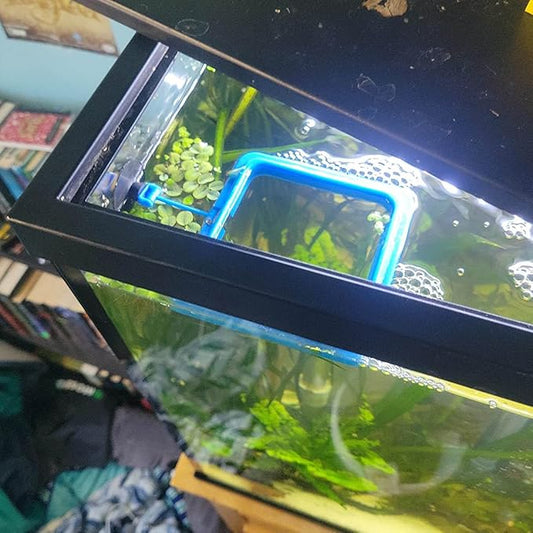 Fish Feeding Ring Floating Food Feeder Circle with Suction Cup Easy to Install Aquarium (Square)