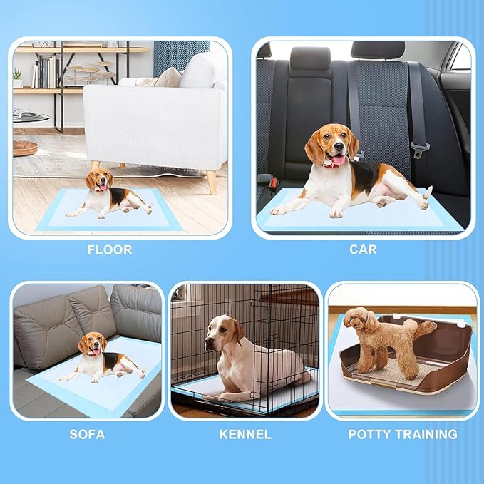 Puppy Pee Pads for Dogs 40"x40" 40 Count, Extra Large Dog Pee Pads, Leak-Proof & Super Absorbent Dog Pee Pads, Thicken Disposable Potty Pads Puppy Training Pads for Cats Rabbits