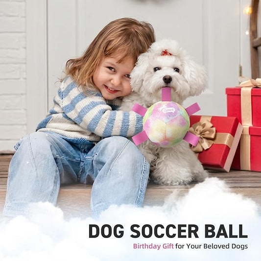 QDAN Dog Toys Soccer Ball with Straps, Durable Dog Balls for Tug of War, Puppy Birthday Gifts, Dogs Water Toy Small Dogs-Rainbow(5 Inch)