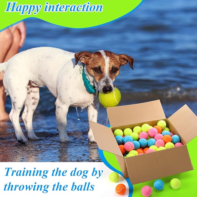 Skylety 40 Pcs 2.5 Inch Squeaky Tennis Balls Bulk for Dogs Bouncy Floatable Tennis Balls Dog Playing Supplies Training Interactive Fetch Toys Indoor and Outdoor for Small Medium Puppy (Multicolor)