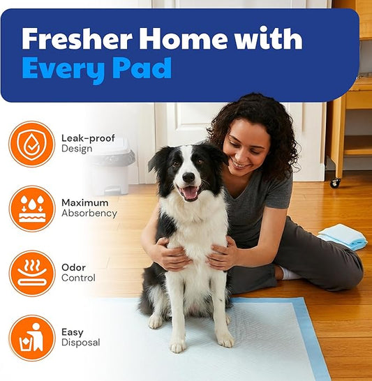American Kennel Club Puppy Training Pads with Ultra Absorbent Quick Dry Gel – 28 x 30 Pee Pads for Dogs - 50 Count , XL(Unscented)