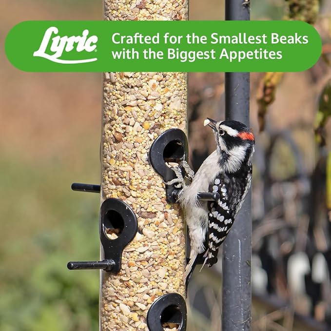 Lyric Fine Tunes Wild Bird Seed Mix - No Waste Bird Food Mix - Attracts Bluebirds, Finches, Chickadees & More - Seed for Outside Feeders - 15 lb Bag