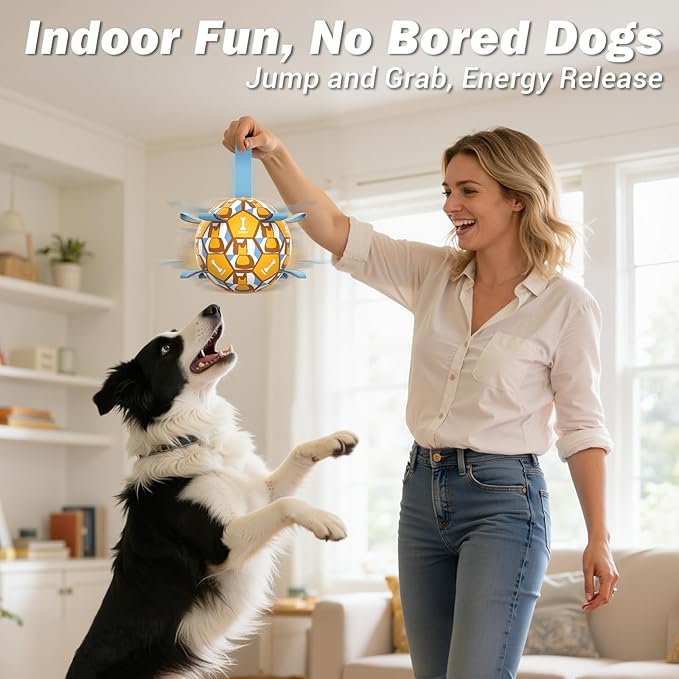 Dog Toy Balls, Dog Soccer Ball with Straps, Interactive World Cup Soccer Ball for Medium Dogs, Water Fetch Toys, Tug-of-War, Herding Ball Toys Outdoor, Dog Birthday Toy, Light Blue (6 Inch)