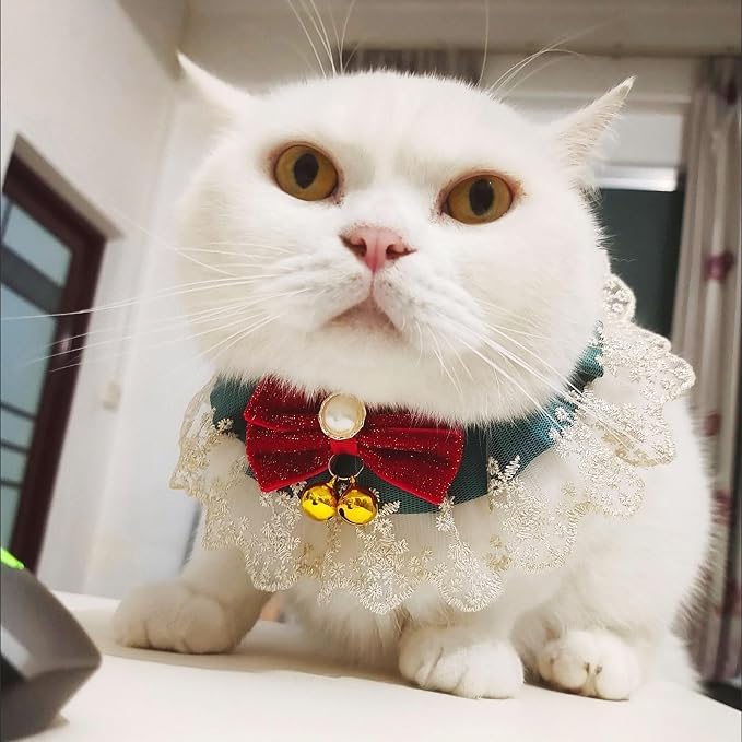 Elegant Lace Cat Collar with Cute Bow,Cat Collar with Bow Tie,Pet Lace Bib Collar with Cute Bow,Cat Princess Costumes,Green Champagne,1 Piece 
