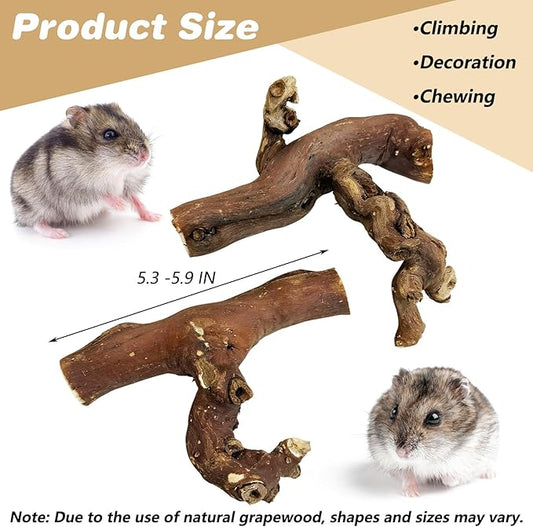 PINVNBY 2 PCS Wooden Hamster Climbing Branches 5.9 in Natural Grapevine Syrian Hamster Chewing Toys Small Animal Habitat Decor Accessories for Gerbils Mice Rat and Dwarf Pets
