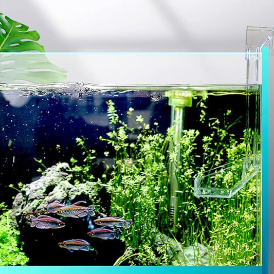 Sky Restaurant Aquarium Fish Feeder - Prevent Food Spilling, Easy to Clean, Betta & Dwarf Frogs Feeding(S)