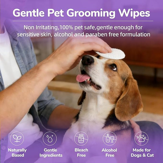 Dog Eye Wipes, 120 Count Cat Eyes Cleaning Wipes Gentle Pet Tear Stain Remover, Hypoallergenic Puppy Dogs Eye Wash Cleaner for Debris Discharge Mucus, Vet Recommended Aloe Chamomile Pets Wipe Pads