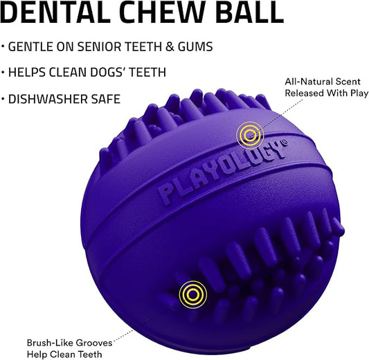 Playology Dog Toys | Dental Chew Ball for Large Senior Dogs | Pork Sausage Scented Jumbo Toy | Dog Balls for Healthy Teeth and Gums