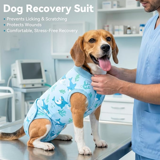 cyeollo Dog Surgery Recovery Suit, Soft Surgical Body Suits for Female Male Dog, Comfy Spay Neuter Onesie for Small Dogs, E-Collar & Cone Alternative, Anti-Licking Wound Puppy Clothes, Shark XS