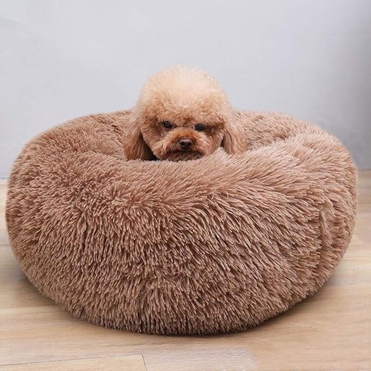 Modern Soft Plush Round Pet Bed for Cats or Small Dogs, Mini Medium Sized Dog Cat Bed Self Warming Autumn Winter Indoor Snooze Sleeping Cozy Kitty Teddy Kennel (24'' D x 8'' H, Coffee)