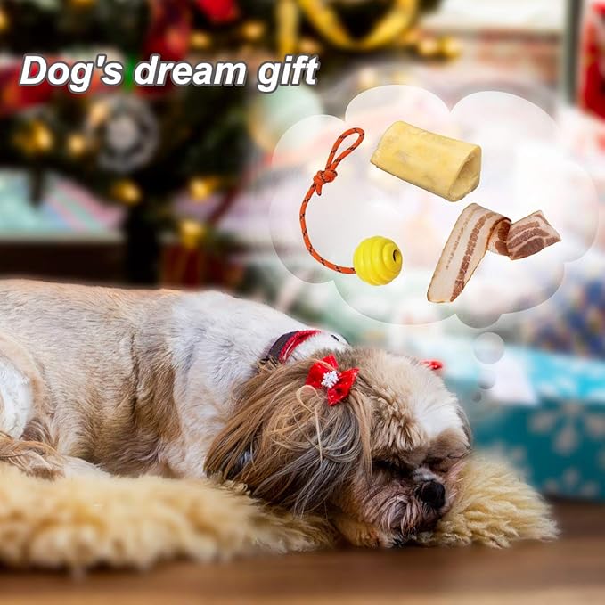 K9 Training Ball with Rope, Exercise and Reward Toy for Dogs - Indestructible Dog Toy Ball with Handle for Training Pull, Throw, Tug - Belgian Malinois Gifts