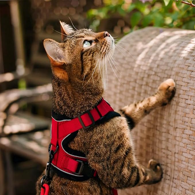 rabbitgoo Cat Harness and Leash for Walking, Escape Proof Soft Adjustable Vest Harnesses for Cats, Easy Control Breathable Reflective Strips Jacket, Red, XXS