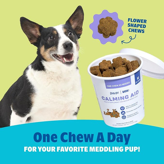 BARK x Scooby Calming Aid Health Supplement for Medium Breed Dogs