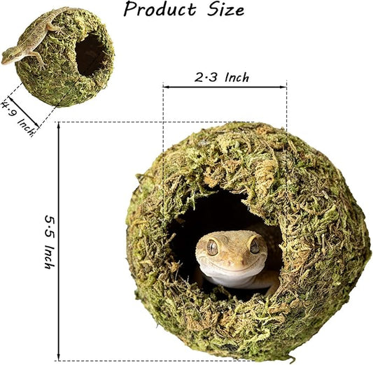 Reptile Hideout Cave - Natural Coconut Moss Terrarium Decor & Snake Hide - Leopard Gecko Hide & Ball Python Hide - Reptile Tank Accessories & Habitat Hideouts for Bearded Dragon