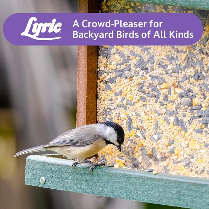 Lyric Wild Bird Mix - Includes Corn, Nuts, and Wild Bird Seed for Outside Feeders, Attracts Doves, Jays and Many More, 20 lb Bag