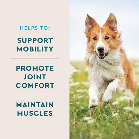 VetIQ Glucosamine Hip & Joint Supplement for Dogs, 90 Soft Chews, Joint Support Supplement with MSM and Krill, Dog Health Supplies Large & Small Breed, Chicken Flavored Chewables