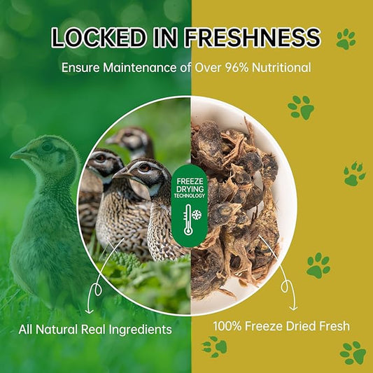 Freeze Dried Quail Cat Dog Treats - Single Ingredient Pet Treats,Natural High-Protein Training Snacks,Grain-Free (3.5oz)