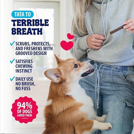 Dental Fresh Dental Treats for XS Dogs, Vet-Formulated Teeth Cleaning Dental Sticks to Help Reduce Plaque and Tartar and Freshen Breath, 64 Count Brush Free Dental Chews for Dogs up to 10 lbs