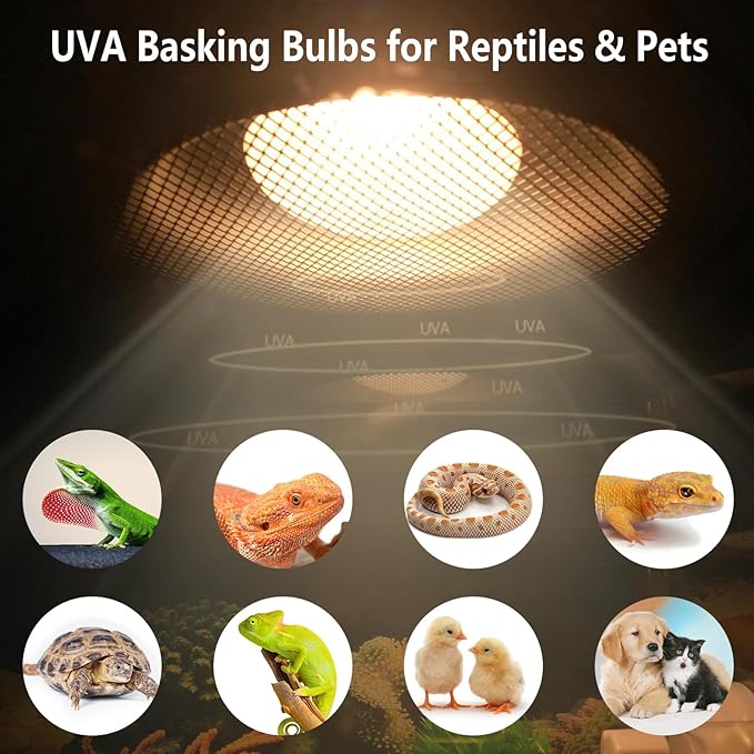 Pack of 4 UVA Heat Light Bulbs - 75W Reptile Basking Light Bulbs for Bearded Dragons, Geckos, Iguanas, Lizards, Amphibians & Small Pets