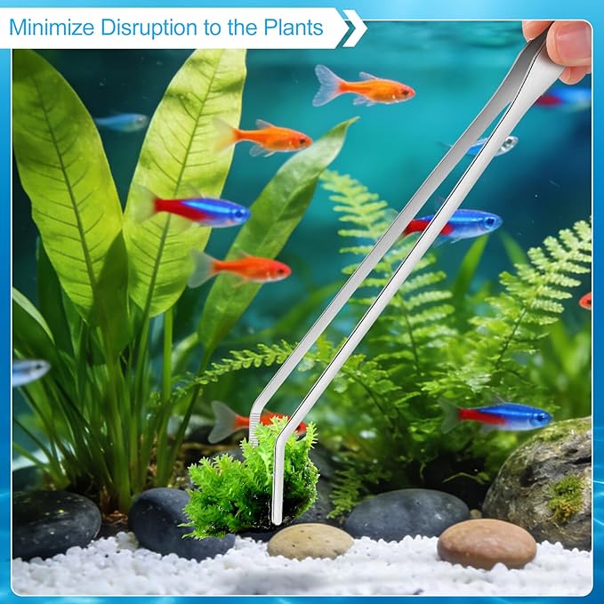 Oligei Terrarium Supplies 3 PCS, Stainless Steel Aquarium Supplies Set, Include Long Aquarium Tweezers, Curved Tweezers, Algae Scraper for Fish Tank Cleaning Plant Trimming