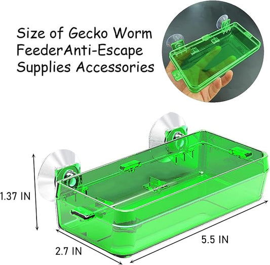 Tfwadmx 2 Pcs Reptile Feeder Chameleon Bowl Water Dish with Suction Cup Gecko Worm Feeder Anti-Escape Chameleon Supplies Accessories for Iguana Lizard Bearded Dragon Snakes (Green,L)