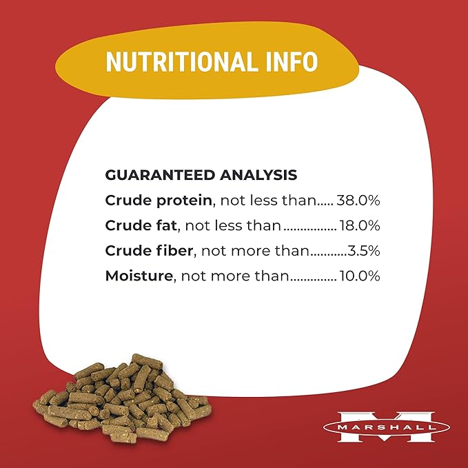 Marshall Premium Ferret Diet Dry Food – 22 oz – Supports Digestion, Energy & Muscle Maintenance – Balanced Small Animal Food with Vitamins & Essential Minerals