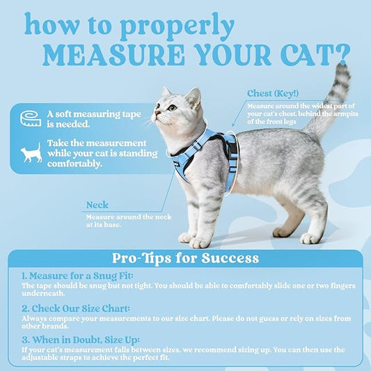 rabbitgoo Cat Harness and Leash for Walking, Escape Proof Soft Adjustable Vest Harnesses for Cats, Easy Control Breathable Reflective Strips Jacket, Light Blue, XXS