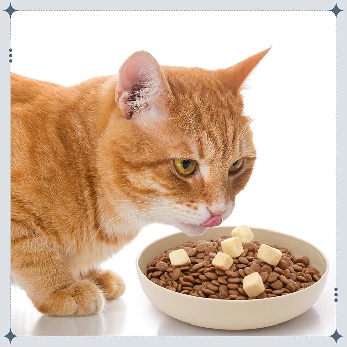 Tioncy 24 Pcs Cat Food Bowl 5.5'' Fatigue Relief Shallow Cat Food Dish Wide and Small Pet Wet Plate Wide Stray Wet Feeding Bowl for Ferrets Feral Short Legged Kitten, Wheat Straw(Pink, Beige,Classic)