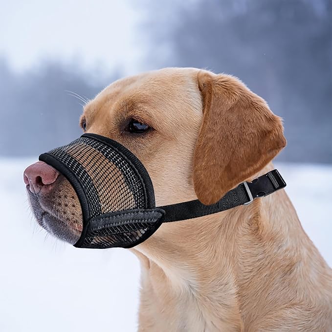 Evollax Extra Large Dog Muzzle - Air Mesh Big Dog Muzzle | Suitable for Small, Medium Large and X-Large Dogs | Stop Biting, Barking and Chewing Best for Aggressive Dogs