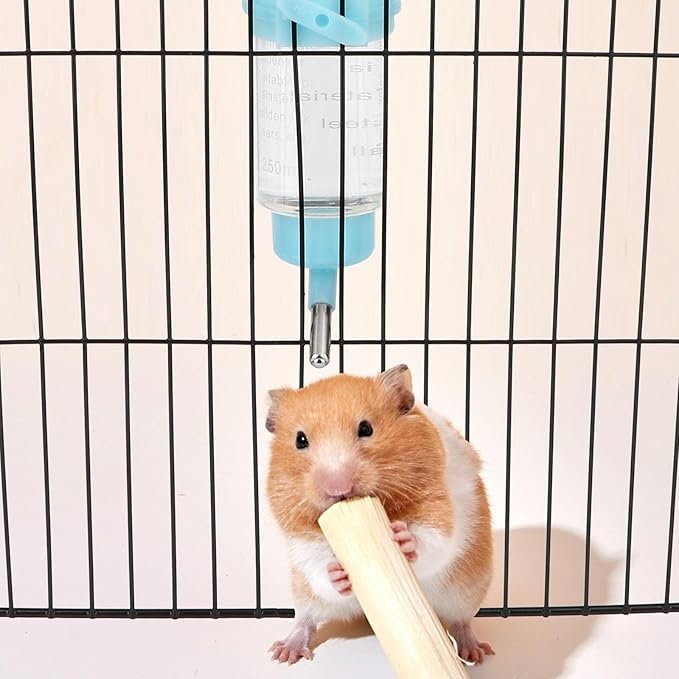 Hypeety Hamster Water Bottle Guinea Pig Water Bottle Hamster Water Dispenser No Drip Water Feeder Bottle for Syrian Dwarf Hamster Gerbils Guinea Pig 125ML (4.4 oz) 1Pcs Random Color
