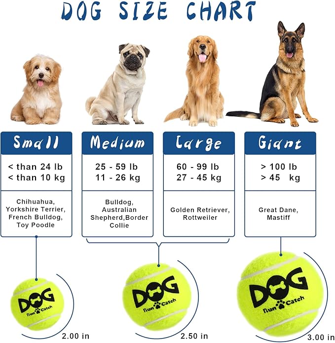 INSUM Squeaky Dog Balls - Squeaky Tennis Balls for Dogs, Multicolor | Medium - 2.5'', 20Pack