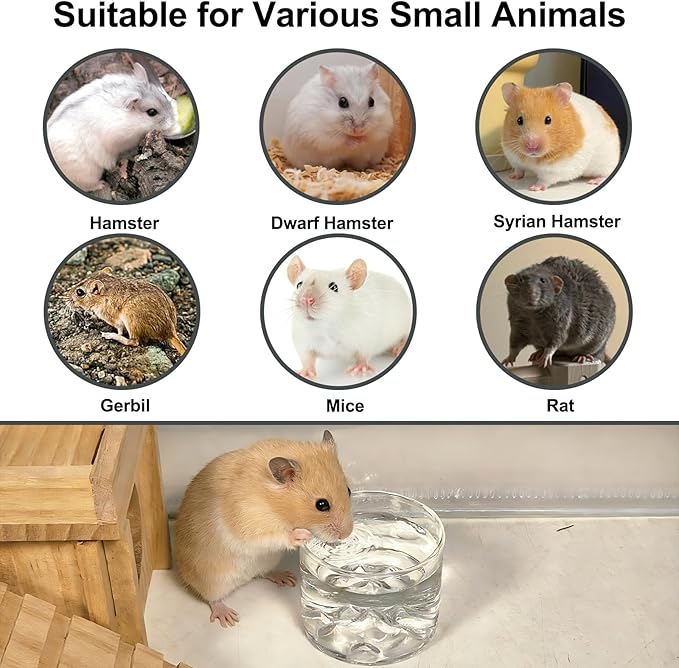 2 Pcs Hamster Feeding & Water Bowls, Glass Syrian Hamster Water Bottle Rat Food Bowl Anti Turning Small Animal Bowls for Gerbils Mice Rats (Clear)