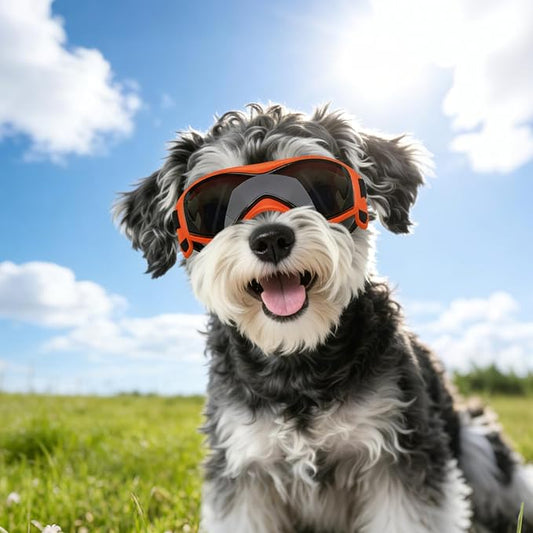 Dog Goggles Medium Breed, Small Dog Sunglasses Anti-UV Goggles for Pet Eyes Protection, Adjustable Straps, Orange M