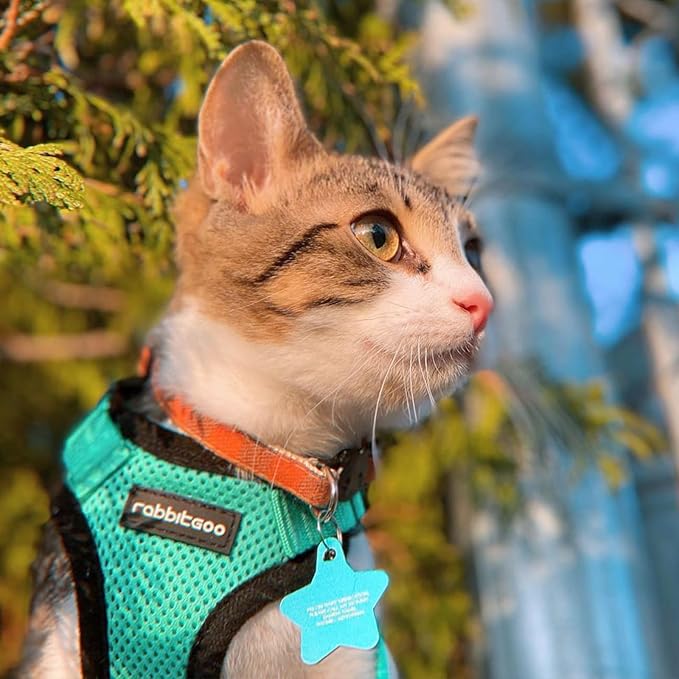 rabbitgoo Cat Harness and Leash for Walking, Escape Proof Soft Adjustable Vest Harnesses for Cats, Easy Control Breathable Reflective Strips Jacket, Emerald, XXS